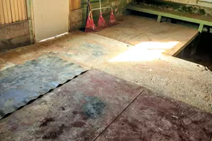 604 Hovland St, Bisbee, AZ 85603 - Photo 54