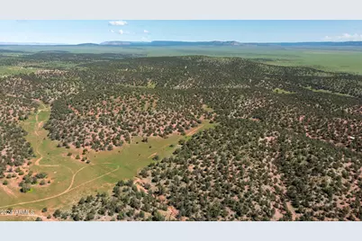 39.93 Acre W Titan Ranch Road #318, Seligman, AZ 86337 - Photo 14