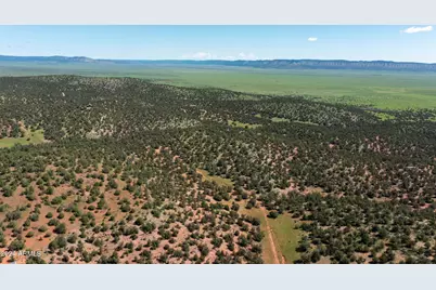 39.93 Acre W Titan Ranch Road #318, Seligman, AZ 86337 - Photo 6