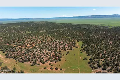 39.93 Acre W Titan Ranch Road #318, Seligman, AZ 86337 - Photo 1