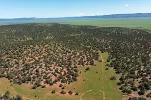 39 93 Acre W Titan Ranch Rd, Seligman, AZ 86337 - Photo 1