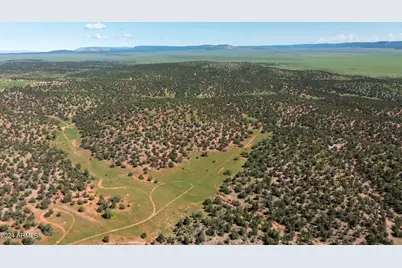 39.93 Acre W Titan Ranch Road #318, Seligman, AZ 86337 - Photo 12