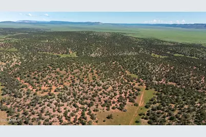 39.93 Acre W Titan Ranch Road #318, Seligman, AZ 86337 - Photo 10