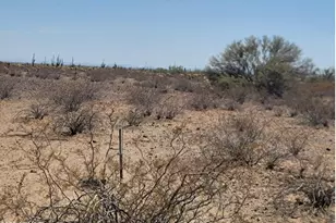 Lot 43 W Restin Rd, Wittmann, AZ 85361 - Photo 1