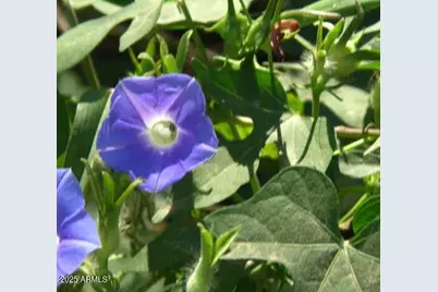 5782 E De Vaca Circle #18, Saint David, AZ 85630 - Photo 24