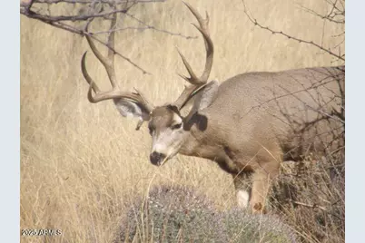 5782 E De Vaca Circle #18, Saint David, AZ 85630 - Photo 10