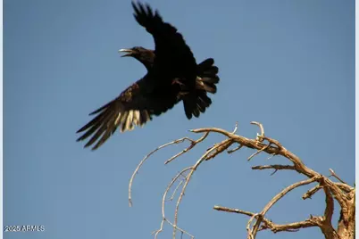5782 E De Vaca Circle #18, Saint David, AZ 85630 - Photo 14