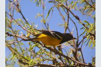 5782 E De Vaca Circle #18, Saint David, AZ 85630 - Photo 16