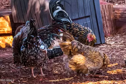 41 Country Lane, Sedona, AZ 86336 - Photo 26