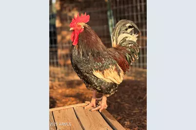 41 Country Lane, Sedona, AZ 86336 - Photo 66