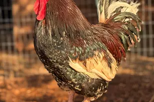 41 Country Ln, Sedona, AZ 86336 - Photo 66