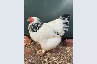 41 Country Lane, Sedona, AZ 86336 - Photo 60