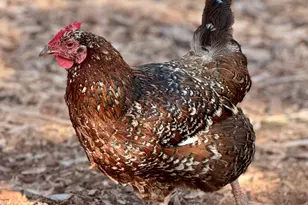 41 Country Ln, Sedona, AZ 86336 - Photo 64