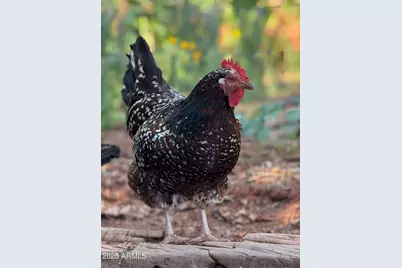 41 Country Lane, Sedona, AZ 86336 - Photo 62