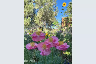 41 Country Lane, Sedona, AZ 86336 - Photo 54