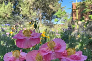 41 Country Ln, Sedona, AZ 86336 - Photo 54