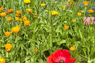 41 Country Ln, Sedona, AZ 86336 - Photo 48