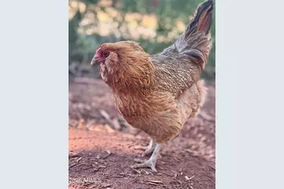 41 Country Lane, Sedona, AZ 86336 - Photo 56