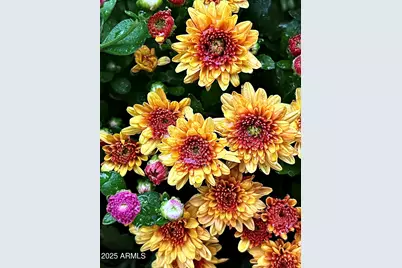 41 Country Lane, Sedona, AZ 86336 - Photo 50