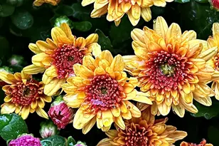 41 Country Ln, Sedona, AZ 86336 - Photo 50