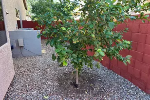 22321 N 79th Dr, Peoria, AZ 85383 - Photo 48