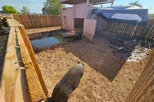 33066 N Brinlee Ln, San Tan Valley, AZ 85143 - Photo 50