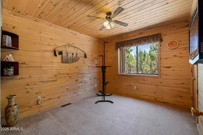 2796 Chandelle Lane, Overgaard, AZ 85933 - Photo 18