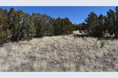 0 Stanford Road #-, Concho, AZ 85924 - Photo 8