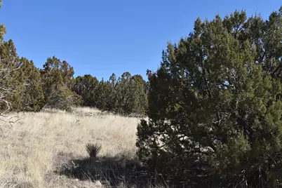 0 Stanford Road #-, Concho, AZ 85924 - Photo 6