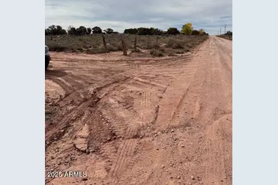 9049 Old School Bus Trail #-, Snowflake, AZ 85937 - Photo 6