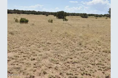 34 County Rd N5576 -- #-, Concho, AZ 85924 - Photo 6