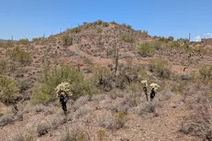 463Xx N 38th Ave, New River, AZ 85087 - Photo 1