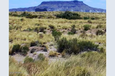 10313 Porter Avenue #-, Joseph City, AZ 86032 - Photo 8