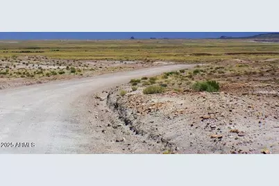 10313 Porter Avenue #-, Joseph City, AZ 86032 - Photo 4