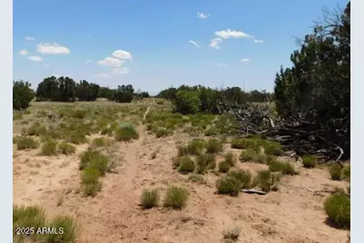 1741 County Rd 7230 -- #-, Saint Johns, AZ 85936 - Photo 6