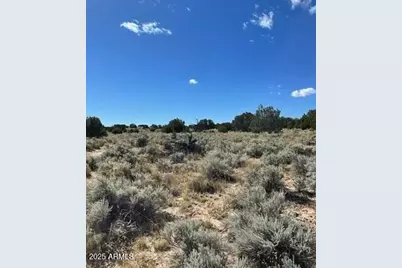 1741 County Rd 7230 -- #-, Saint Johns, AZ 85936 - Photo 10