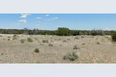 1741 County Rd 7230 -- #-, Saint Johns, AZ 85936 - Photo 8
