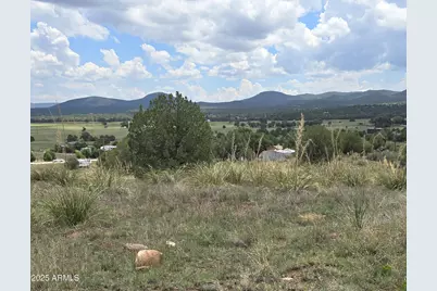 410 S Rolling Hill Road #1&2, Young, AZ 85554 - Photo 2