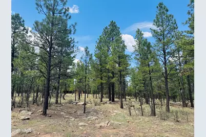 4185 Apache #429, Happy Jack, AZ 86024 - Photo 1