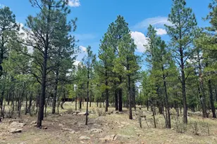 4185 Apache, Happy Jack, AZ 86024 - Photo 1