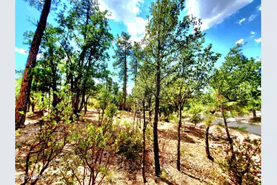 Lot 19 Strawberry Hollow -- #19, Pine, AZ 85544 - Photo 12