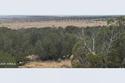 Lot 99 Carrizo Ranch -- #99, Saint Johns, AZ 85936 - Photo 10