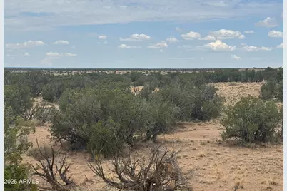 Lot 99 Carrizo Ranch -- #99, Saint Johns, AZ 85936 - Photo 4