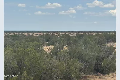 Lot 99 Carrizo Ranch -- #99, Saint Johns, AZ 85936 - Photo 6