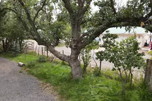 2051 Stradling Ln, Lakeside, AZ 85929 - Photo 24