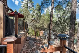 9400 W Wild Turkey Ln, Pine, AZ 85544 - Photo 6