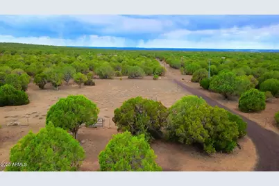 7865 Christmas Tree Road, Show Low, AZ 85901 - Photo 6