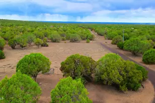 7865 Christmas Tree Rd, Show Low, AZ 85901 - Photo 6