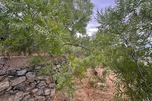 645 Holly Ave, Jerome, AZ 86331 - Photo 24