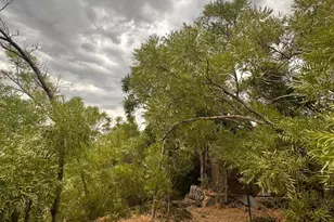 645 Holly Ave, Jerome, AZ 86331 - Photo 22